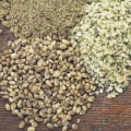 Can Hemp Seed Protein Cause a Positive Drug Test?