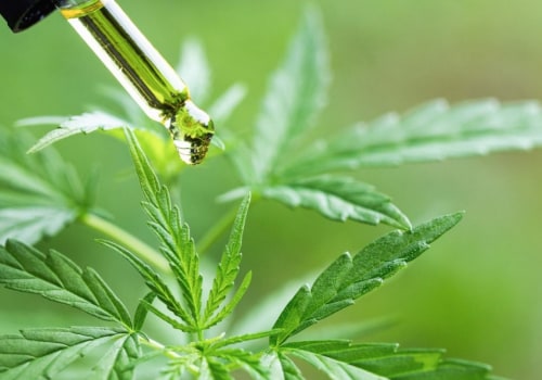 What is more potent cbd or hemp?