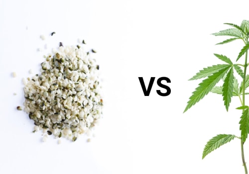 The Difference Between CBD Oil and Hemp Oil Explained